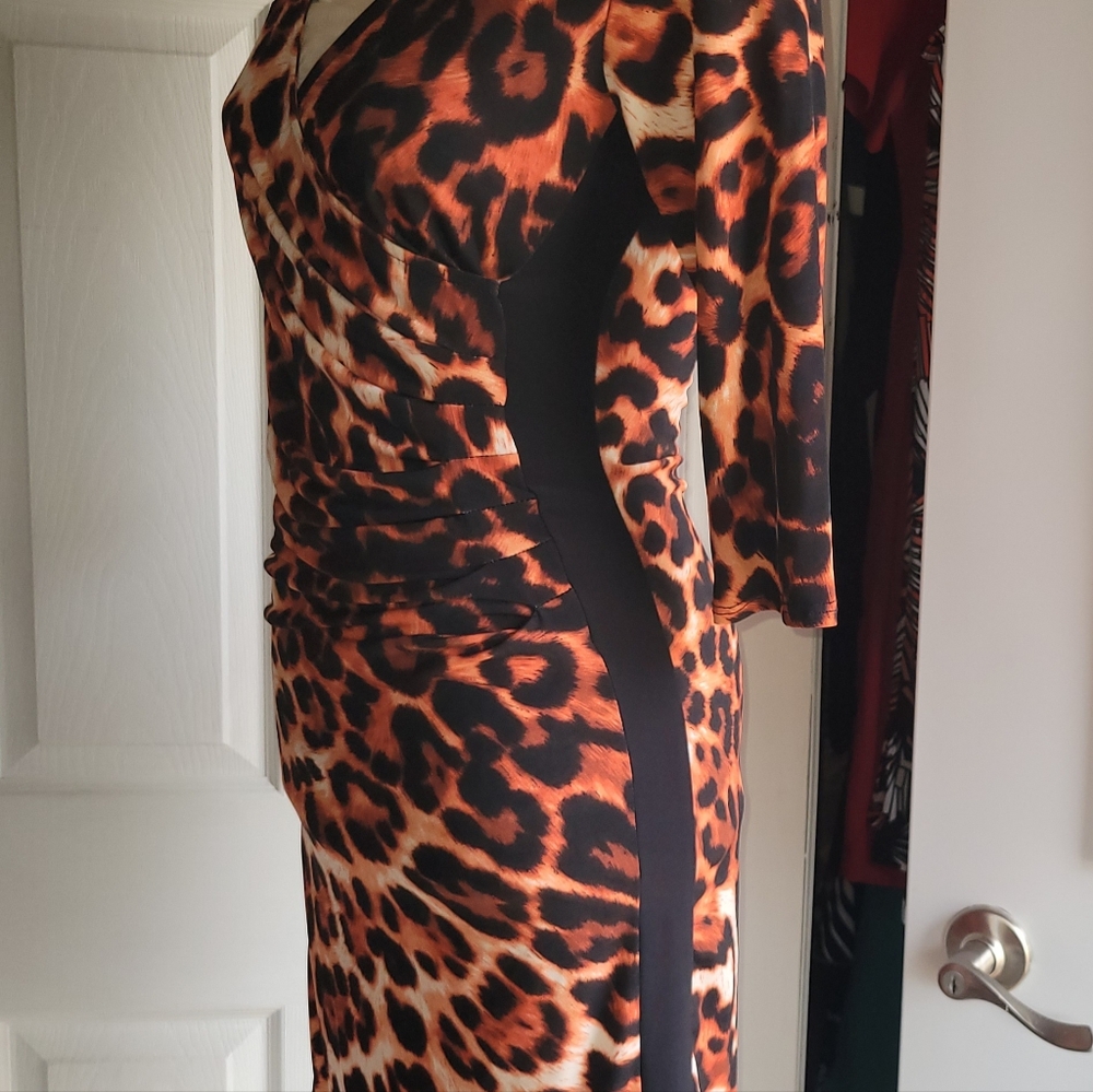 Animal Print 3/4 Sleeve Dress Size Small